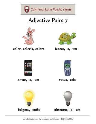 carmenta latin tutors resource image adjective-pairs-07 thumbnail