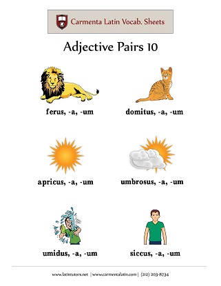 carmenta latin tutors resource image adjective-pairs-10 thumbnail