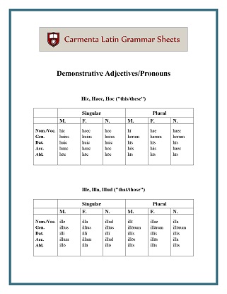 carmenta latin tutors resource image demonstrative-adjectives-pronouns thumbnail